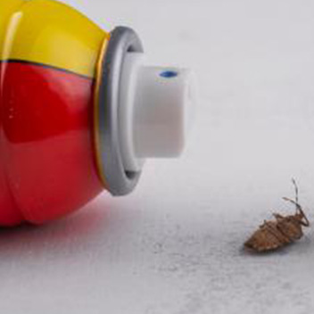 Household Insecticides